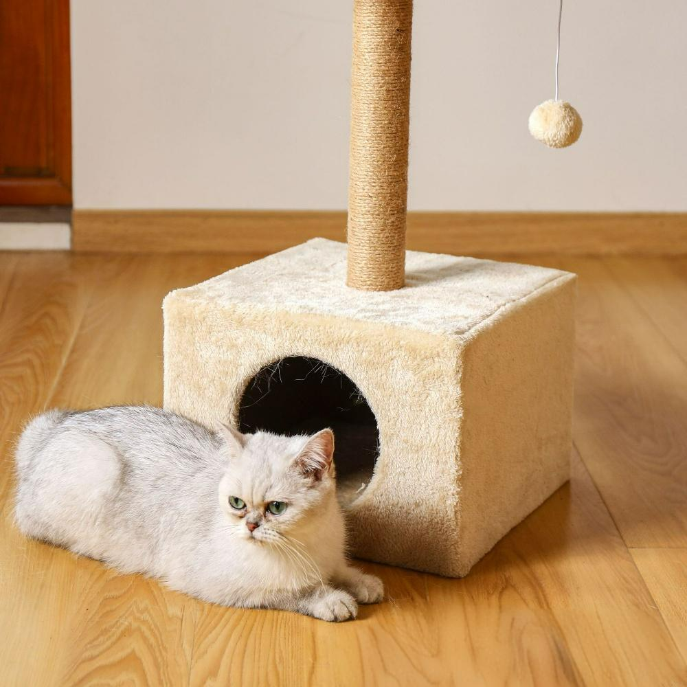 cat condo tower