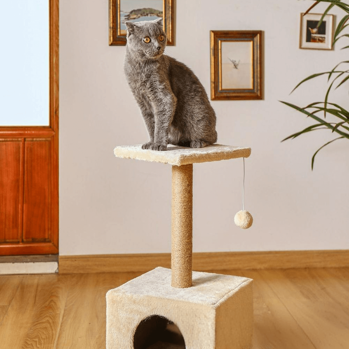 cat condo tower