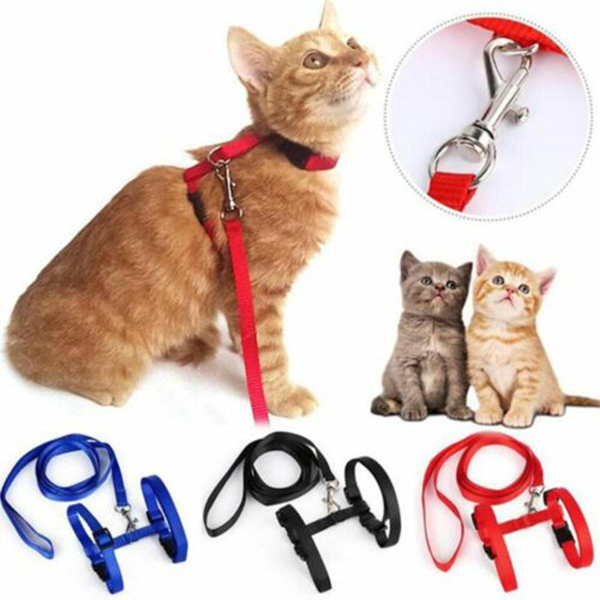 Adjustable Nylon Leash cat