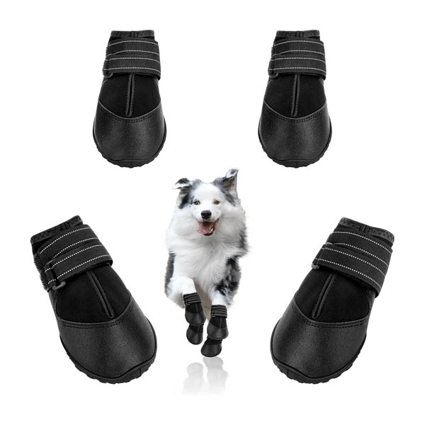 Dog Rain Boots