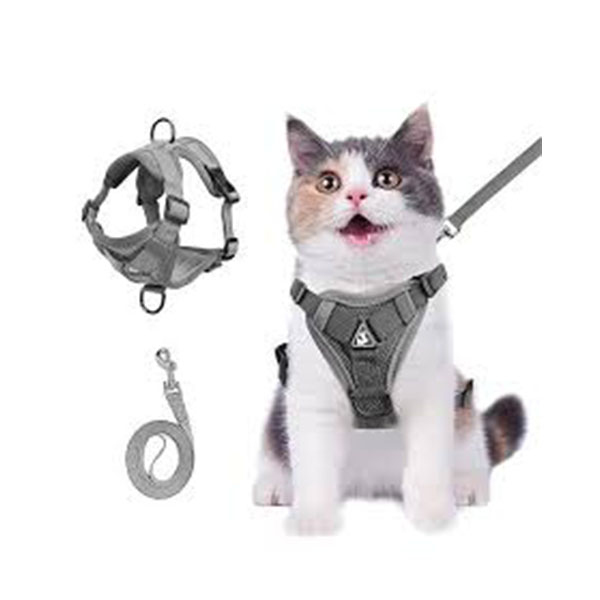 Escape Proof Cat Harness
