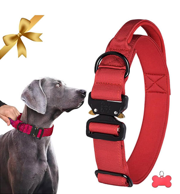 Features of Our Pet Collars