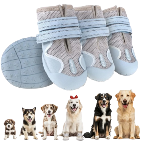 Give Your Pet the Comfort & Protection They Deserve