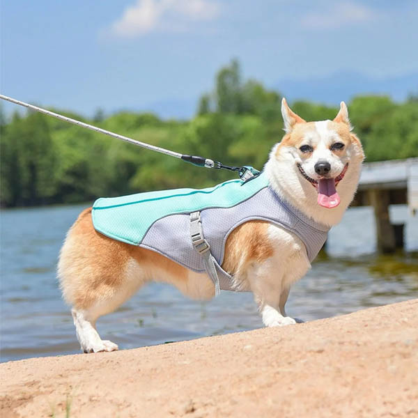 Lightweight Summer Vest