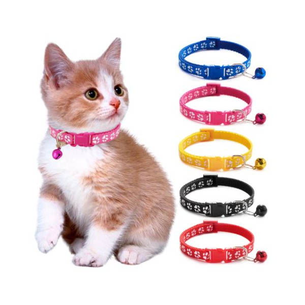 Pet Collar