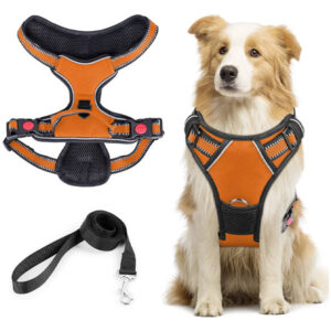 Reflective Dog Harness