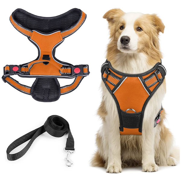 Reflective Dog Harness