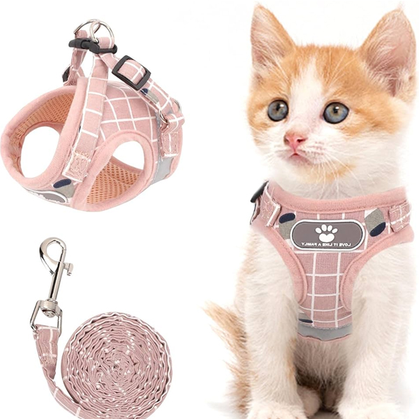 Reflective Safety Leash cat