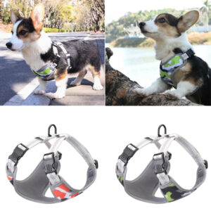 Soft Comfort Pet Leash