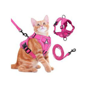 Step In Cat Harness