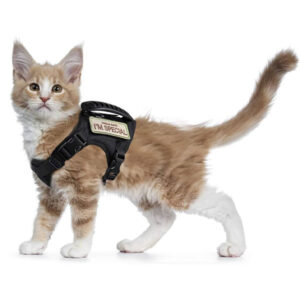 Tactical Cat Harness