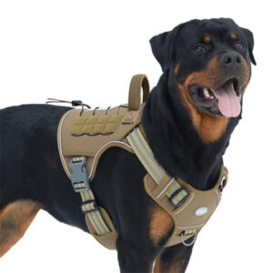 Tactical Dog Harness