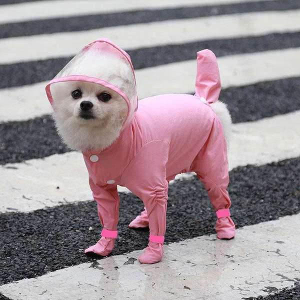 Waterproof Outdoor Pet Coat