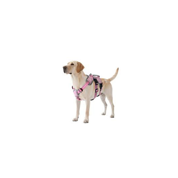 padded dog harness