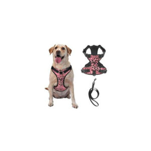 printed dog harness