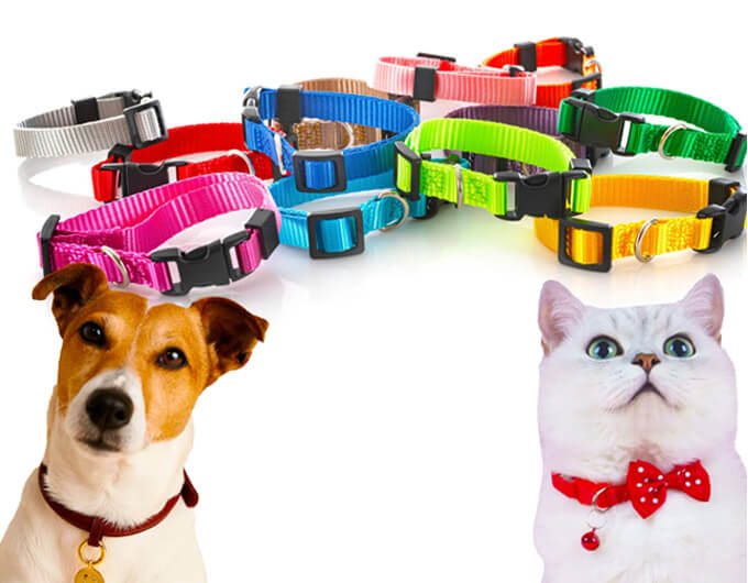 Comfort Fit Pet Collar